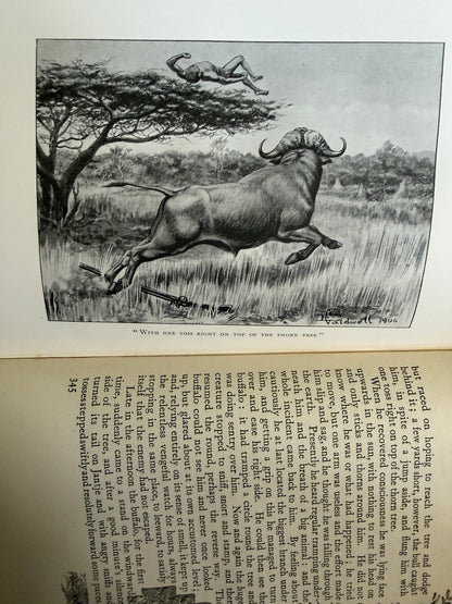 1919 Jock Of The Bushveld - Sir Percy Fitzpatrick (E. Caldwell illust) Longmans, Green & Co Ltd