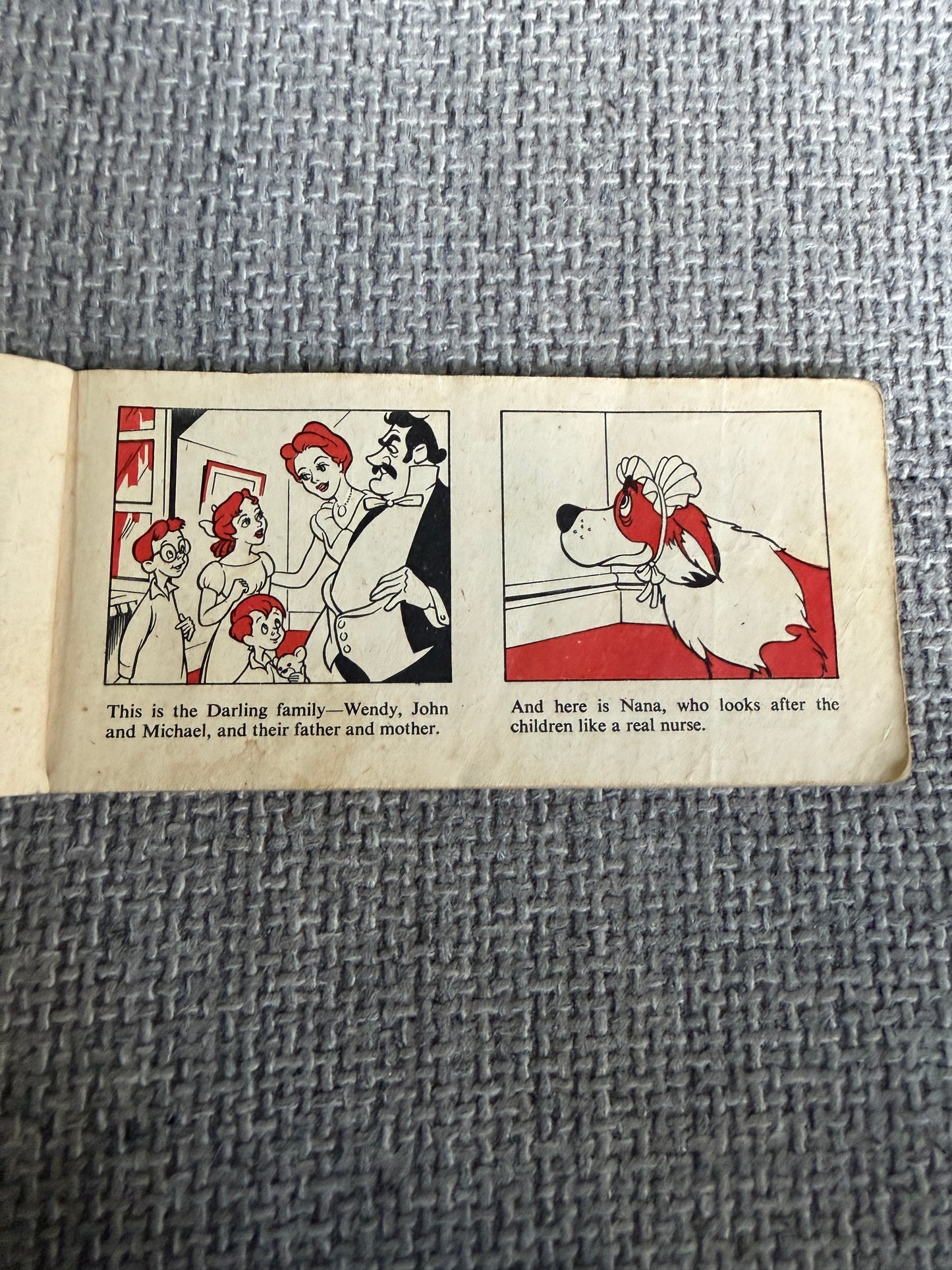 1953*1st* Peter Pan J. M. Barrie story retold by Irene Pearl (Brockhampton Press)