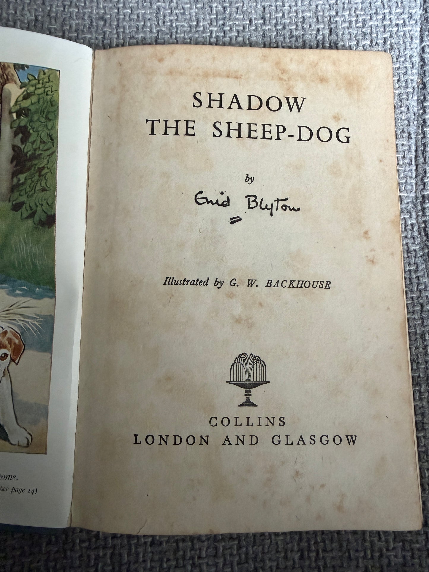 1955 Shadow The Sheep Dog - Enid Blyton (G. W. Backhouse illust) Collins Seagull Library