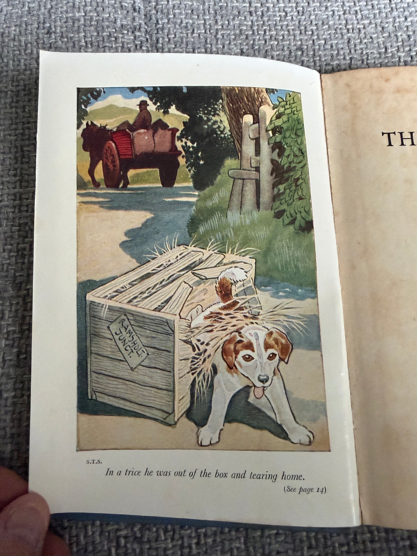 1955 Shadow The Sheep Dog - Enid Blyton (G. W. Backhouse illust) Collins Seagull Library