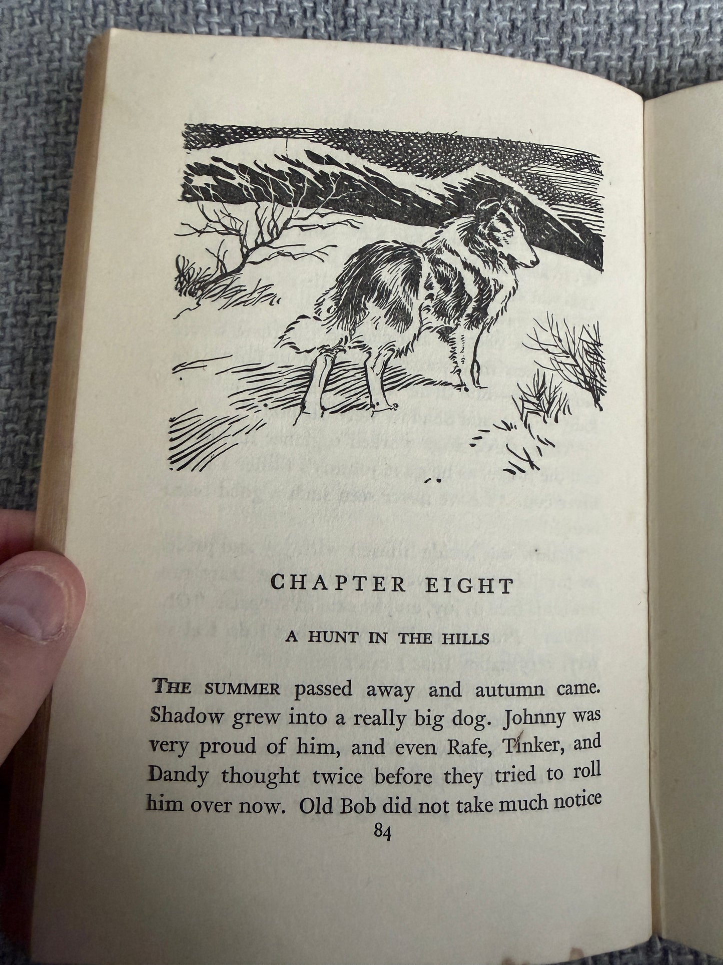 1955 Shadow The Sheep Dog - Enid Blyton (G. W. Backhouse illust) Collins Seagull Library