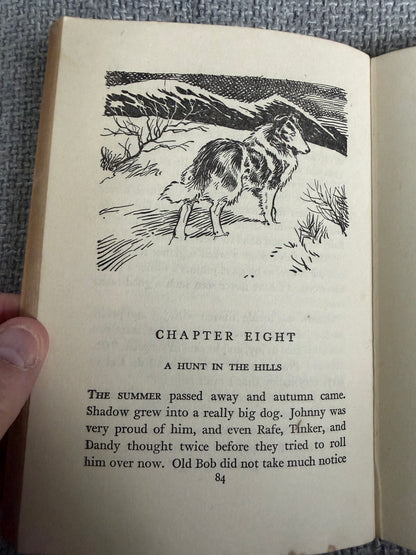 1955 Shadow The Sheep Dog - Enid Blyton (G. W. Backhouse illust) Collins Seagull Library