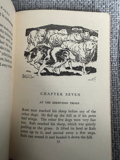 1955 Shadow The Sheep Dog - Enid Blyton (G. W. Backhouse illust) Collins Seagull Library