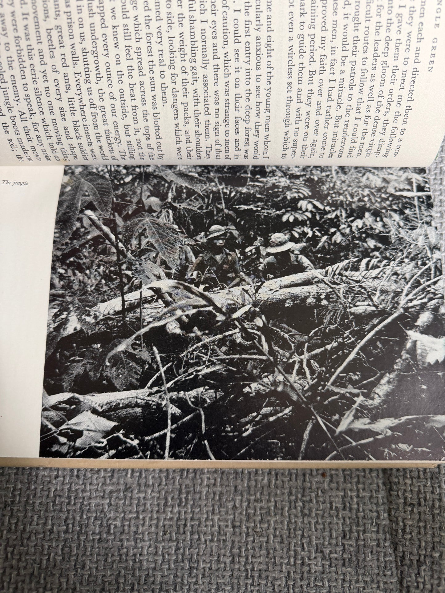 1953 Jungle Green - Arthur Campbell (George Allen & Unwin)