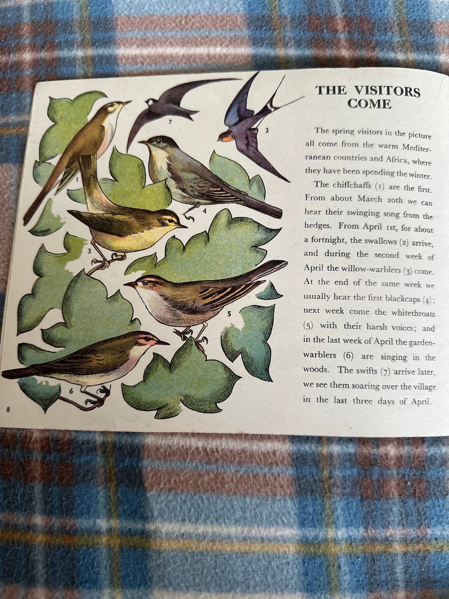1944 Birds Of The Village (Puffin Picture Book No20) James Fisher(Illustrated by P.F. Millard