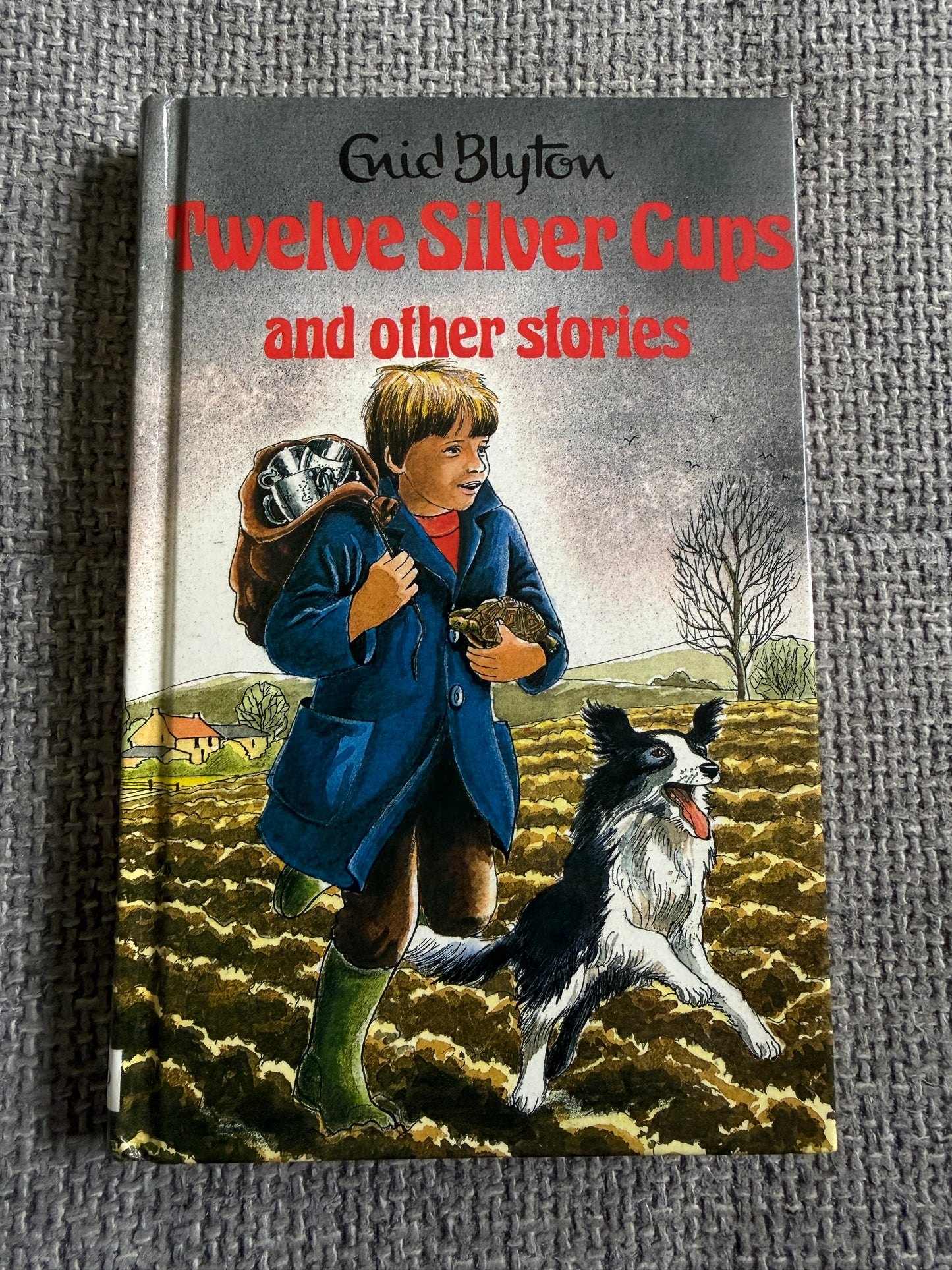 1993 Twelve Silver Cups & Other Stories - Enid Blyton (Dorothy Hamilton illust) Award Publications