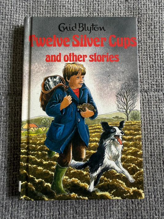 1993 Twelve Silver Cups & Other Stories - Enid Blyton (Dorothy Hamilton illust) Award Publications