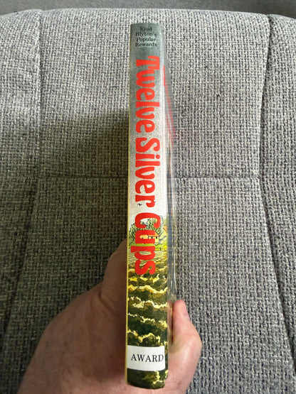 1993 Twelve Silver Cups & Other Stories - Enid Blyton (Dorothy Hamilton illust) Award Publications