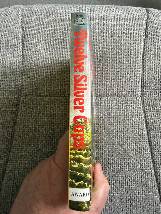1993 Twelve Silver Cups & Other Stories - Enid Blyton (Dorothy Hamilton illust) Award Publications