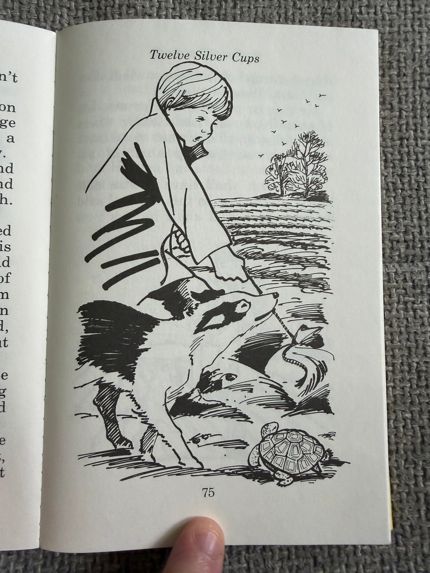 1993 Twelve Silver Cups & Other Stories - Enid Blyton (Dorothy Hamilton illust) Award Publications