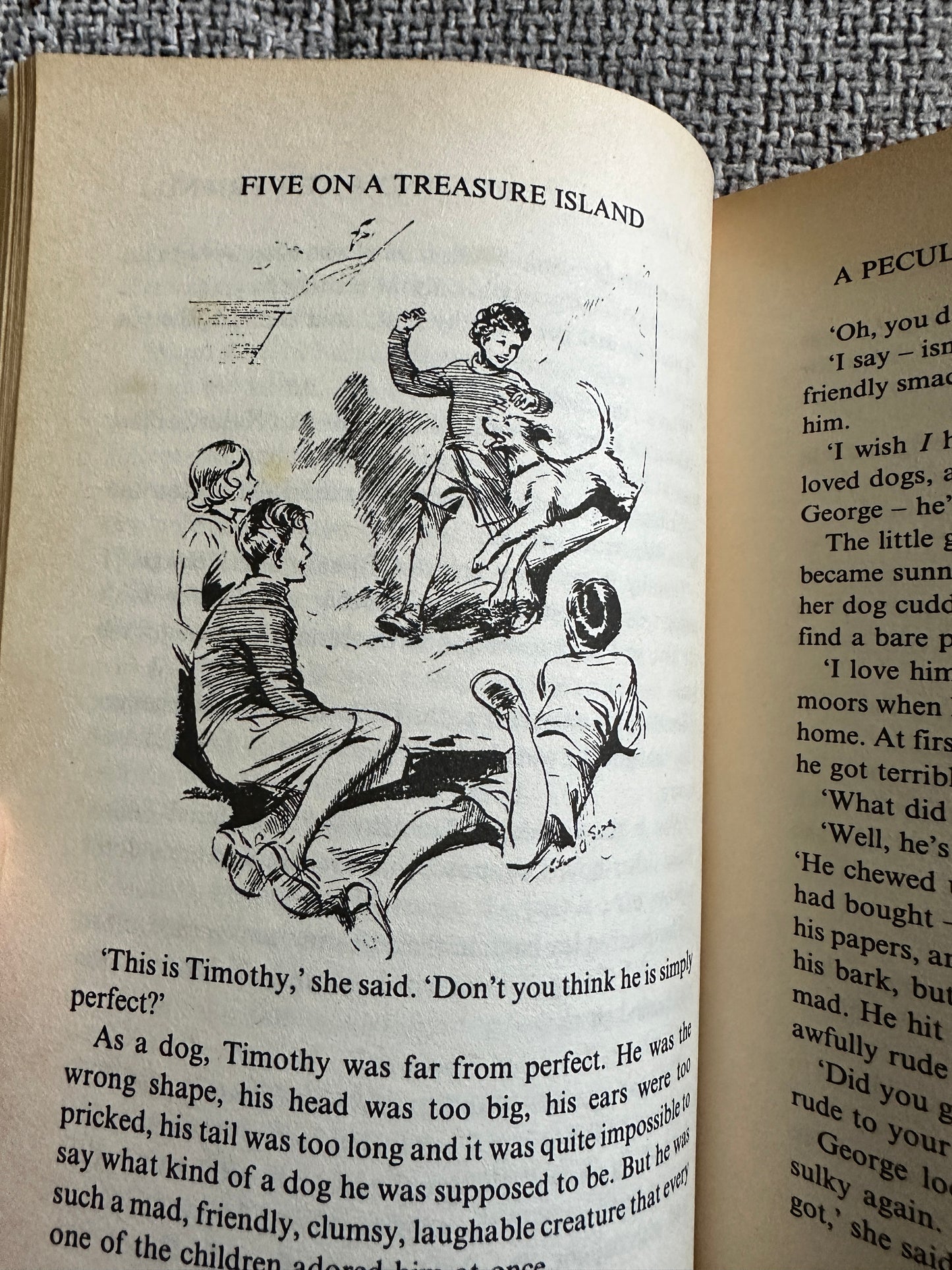 1997 Five On Treasure Island - Enid Blyton(Eileen A. Soper) Hodder Headline Ltd