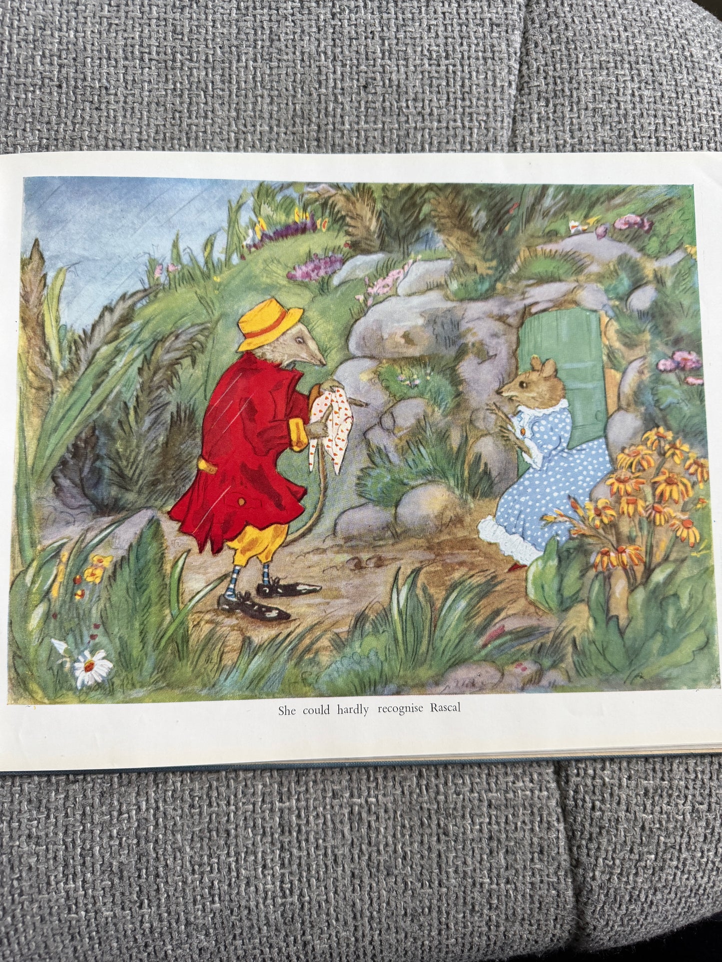 1944*1st* Mr. Badger’s Successful Plan - Margaret Ross (Museum Press Ltd)