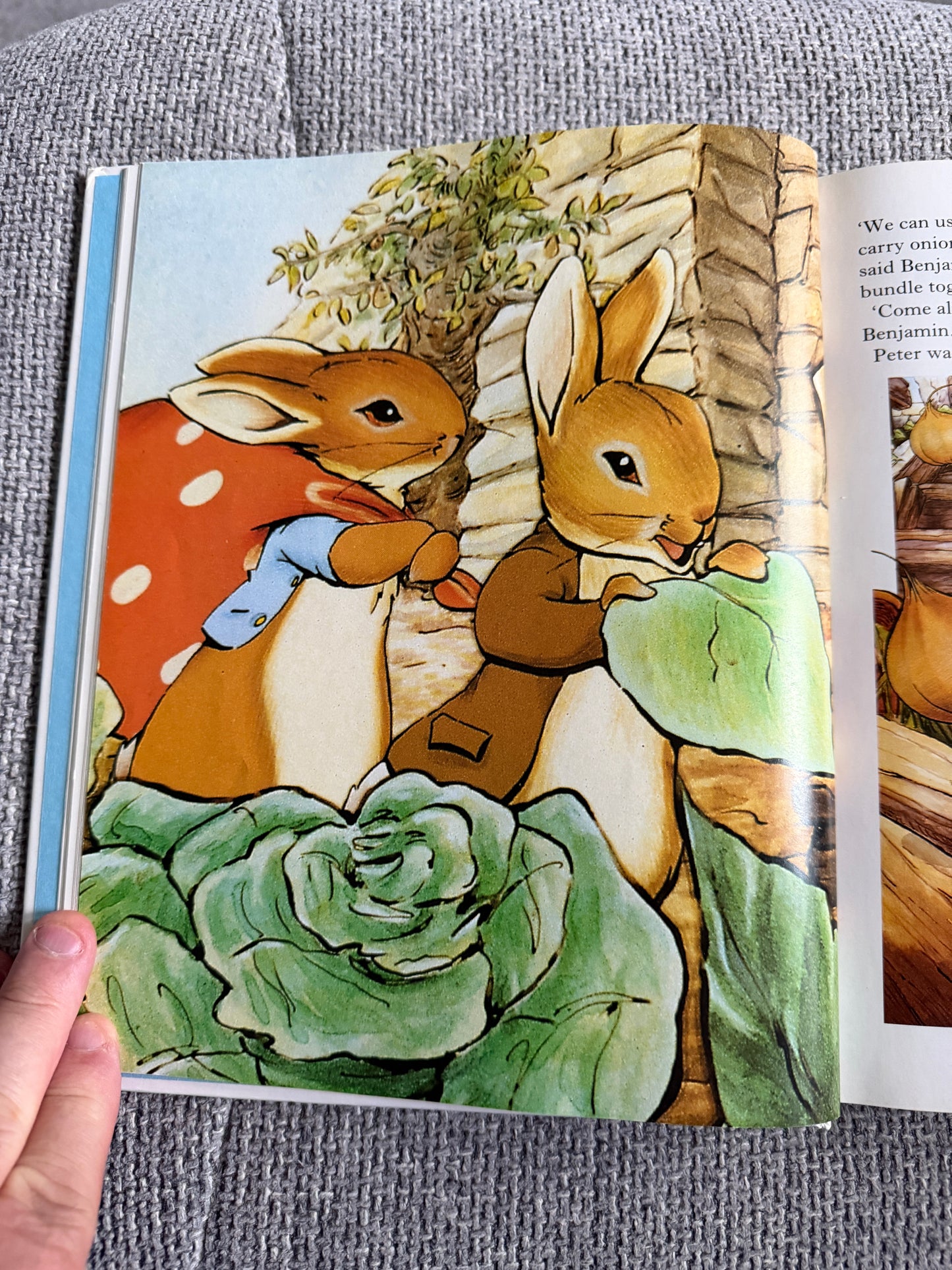 1997 The World Of Peter Rabbit & Friends Complete Story Collection - Beatrix Potter (Frederick Warne & Co. Ltd. )