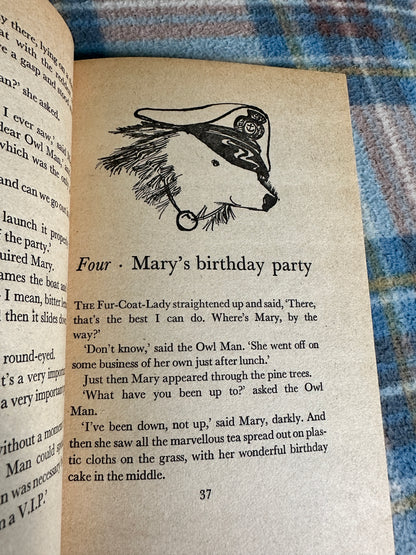 1973*1st* Mary Plain’s Whodunit? - Gwynedd Rae(Janina Ede illustration)Knight Books