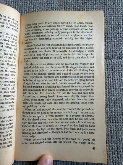 1980 Kes - Barry Hines (Penguin Book)