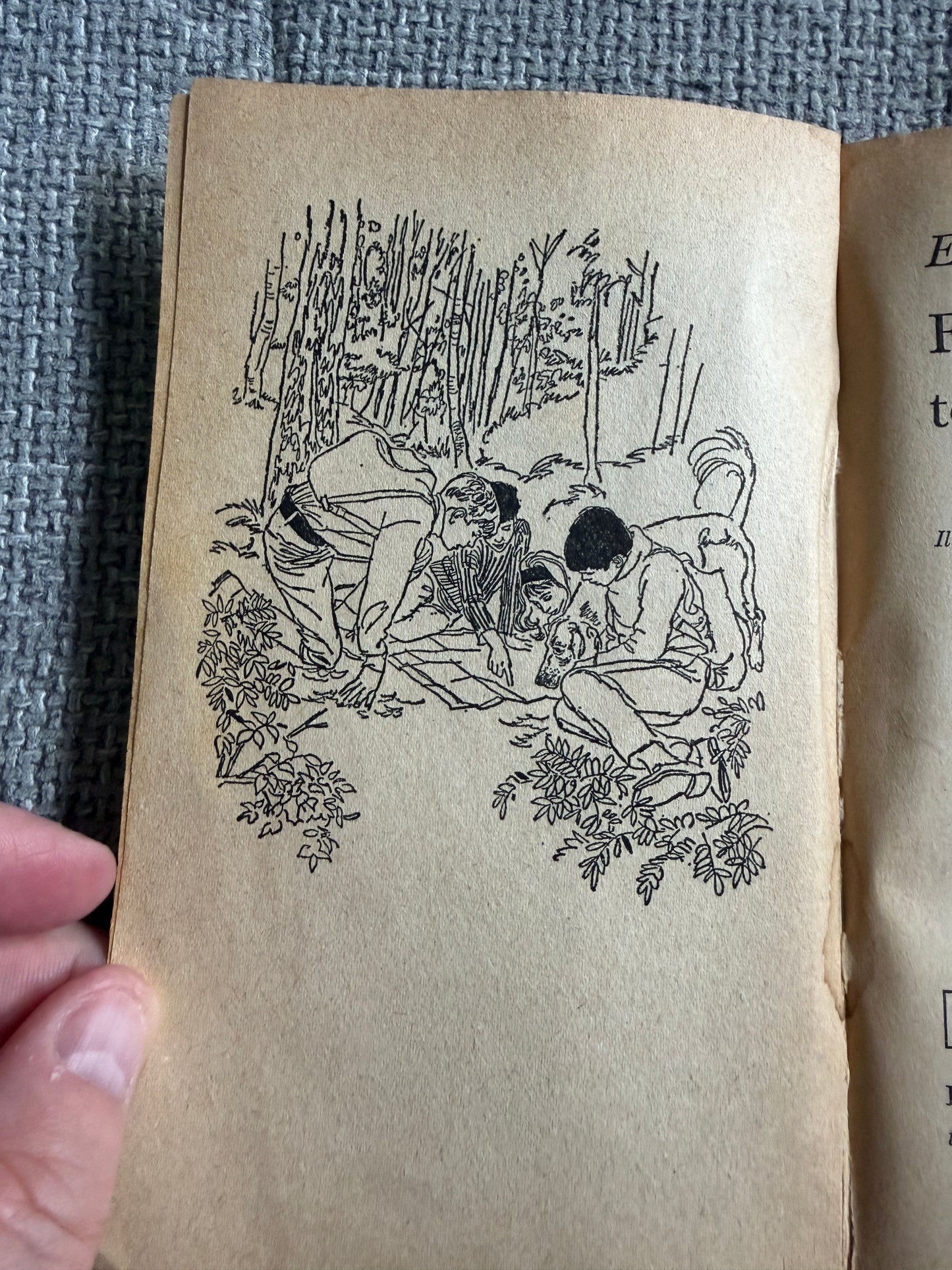 1972 Five On A Hike Together - Enid Blyton (Betty Maxey illust) Knight Books