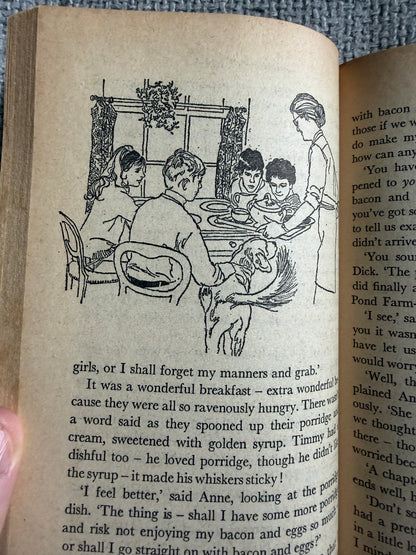 1972 Five On A Hike Together - Enid Blyton (Betty Maxey illust) Knight Books