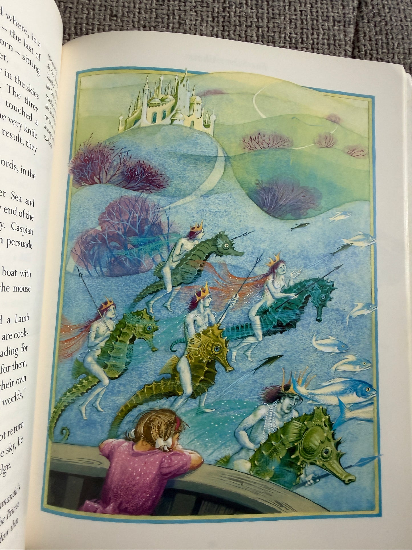 1989 The Land Of Narnia - Brian Sibley (Pauline Baynes Illustrations) Picture Lions