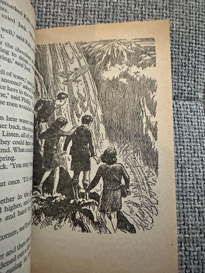 1978 The Valley Of Adventure - Enid Blyton(Stuart Tresilian) Piccolo