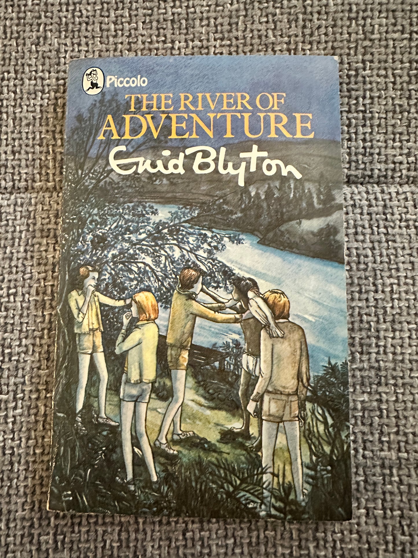 1978 The River Of Adventure - Enid Blyton(Stuart Tresilian)Piccolo