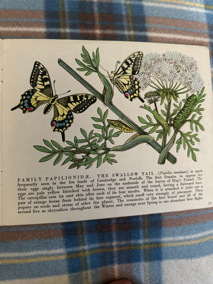 1943 Butterflies In Britain(Puffin Picture Book 29) Richard Chopping
