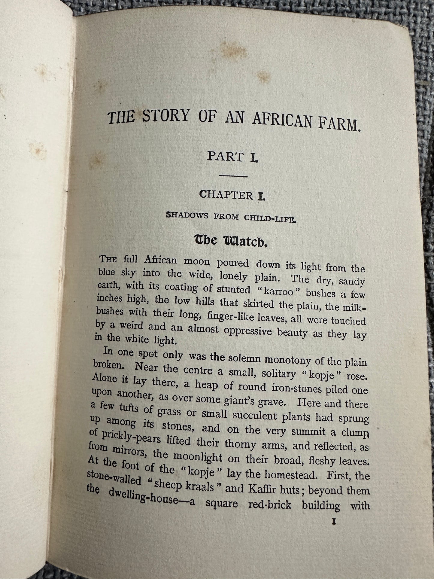 1883 The Story Of An African Farm - Olive Schriener(Hutchinson & Co )