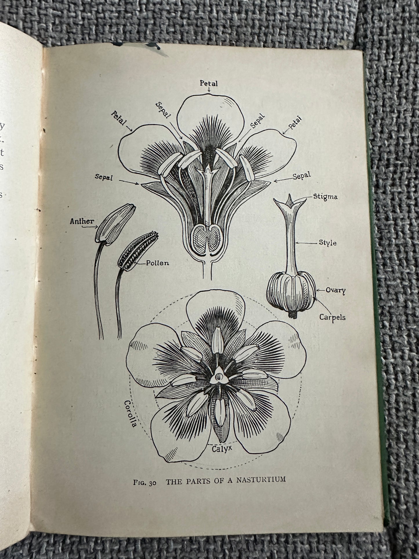 1930’s Practical Biology - John Mason(McDougalls Edicational Coy Ltd.