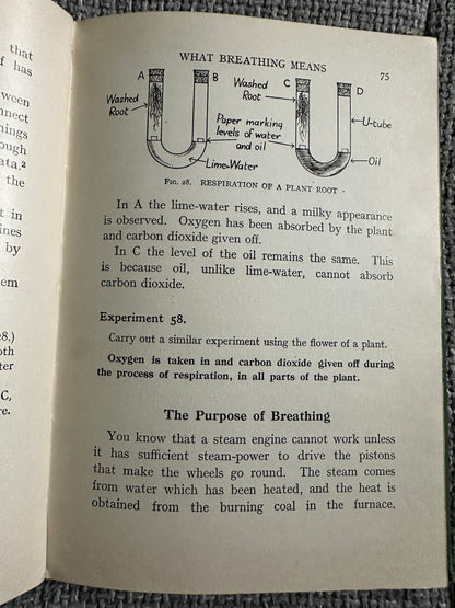 1930’s Practical Biology - John Mason(McDougalls Edicational Coy Ltd.