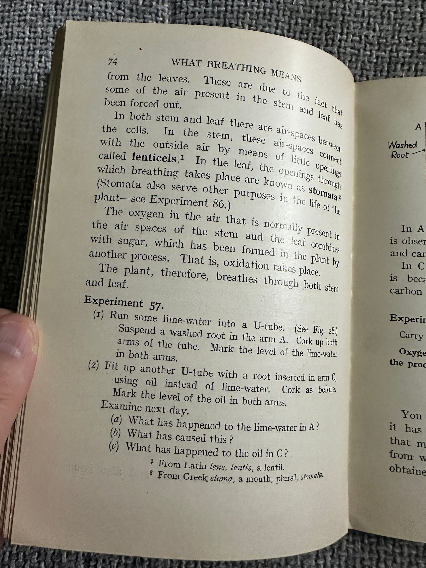 1930’s Practical Biology - John Mason(McDougalls Edicational Coy Ltd.