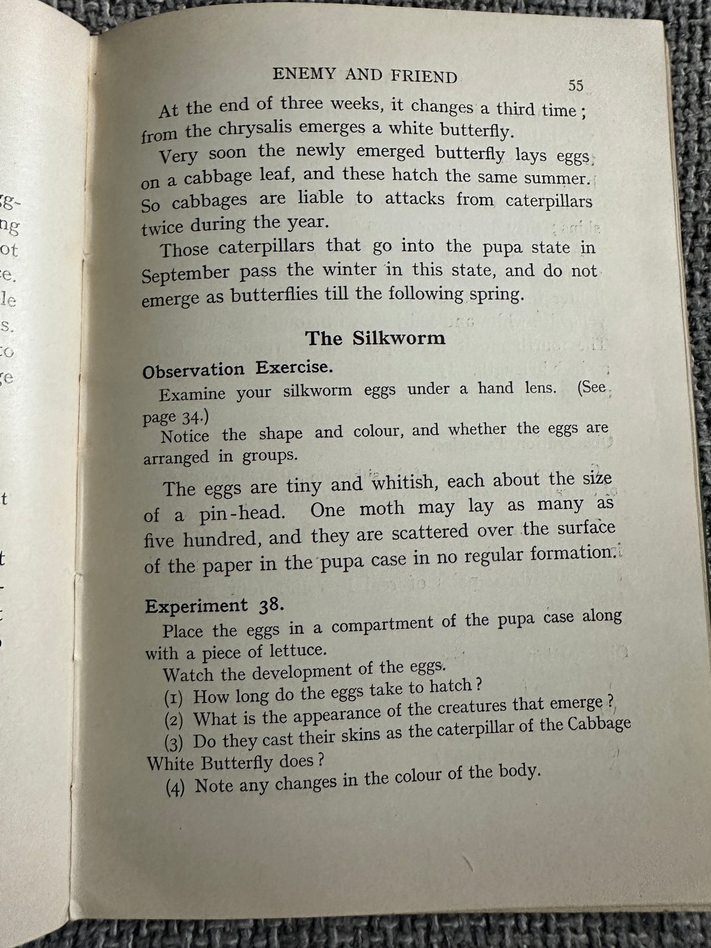 1930’s Practical Biology - John Mason(McDougalls Edicational Coy Ltd.