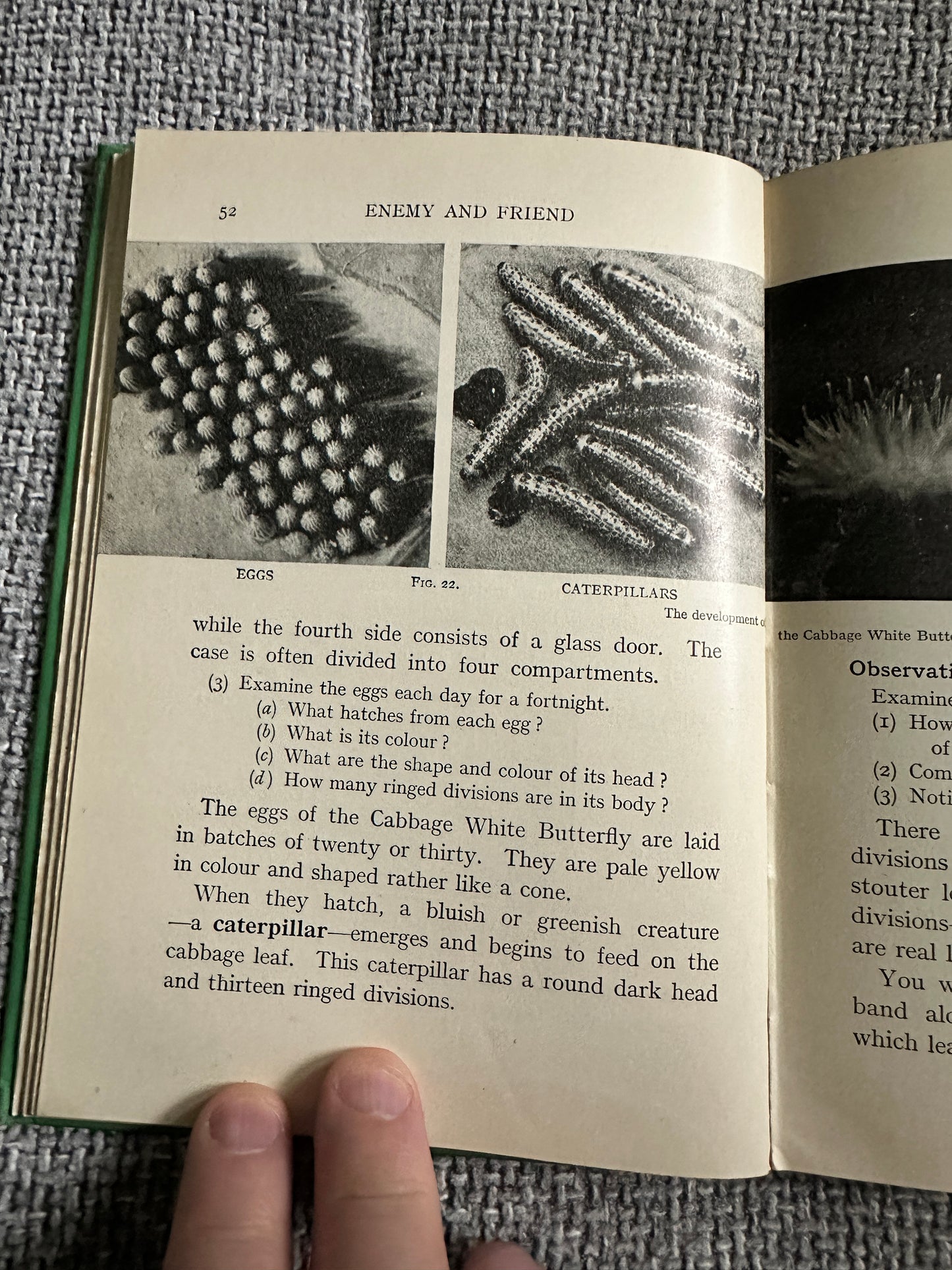 1930’s Practical Biology - John Mason(McDougalls Edicational Coy Ltd.