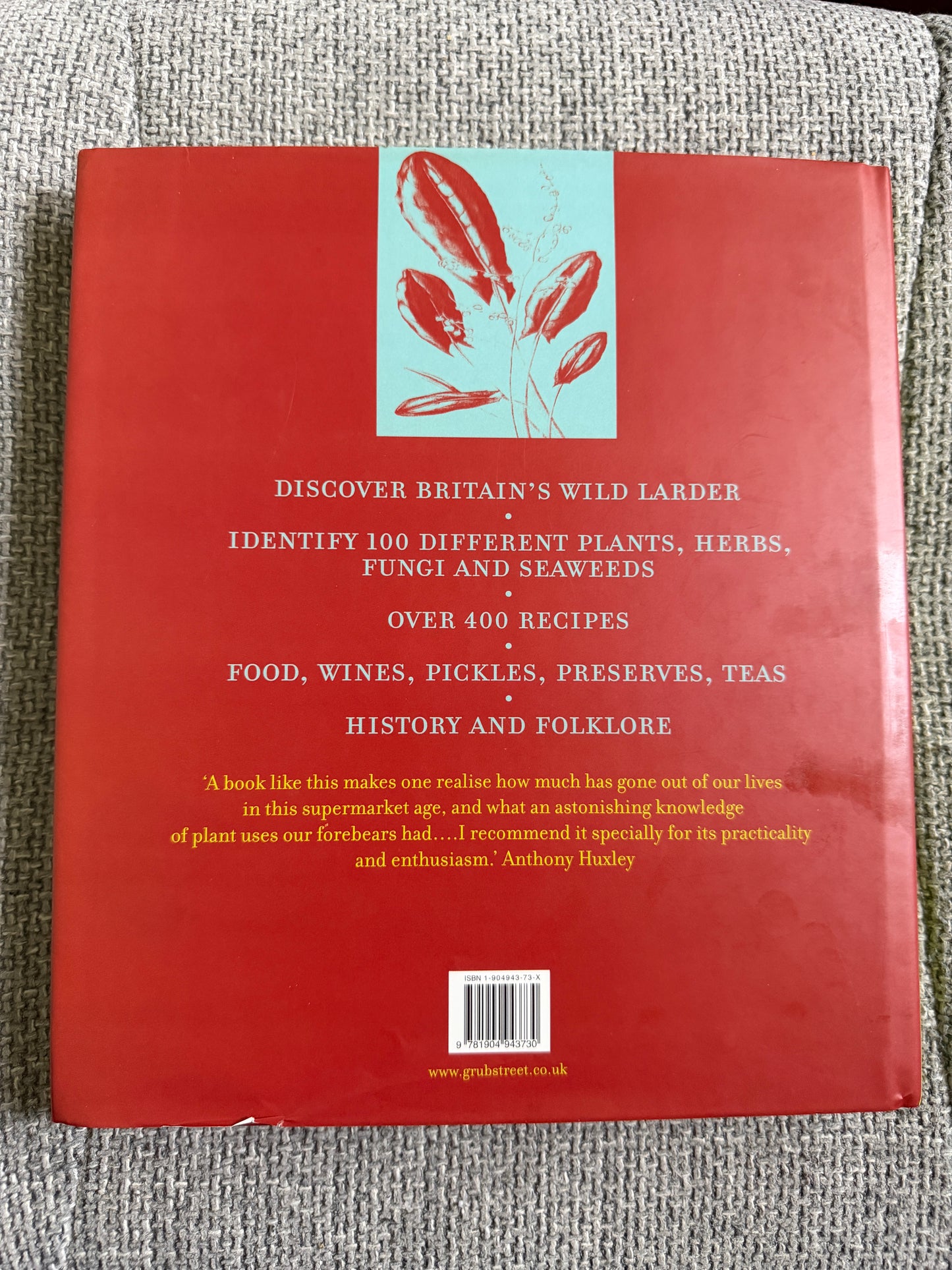 2010 Edible Wild Plants & Herbs - Pamela Michael (Christabel King painting) Grub Street Publisher
