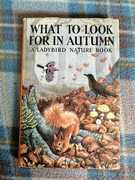 1960’s What To Look For In Autumn(Series 536) Ladybird(Grant Watson Illust C. F. Tunnicliffe) Wills & Hepworth