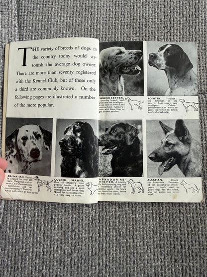 1950’s Bob Martin’s Dog Book 29th Edition(Bob Martin, Southport)