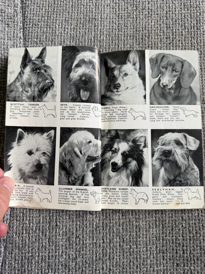 1950’s Bob Martin’s Dog Book 29th Edition(Bob Martin, Southport)