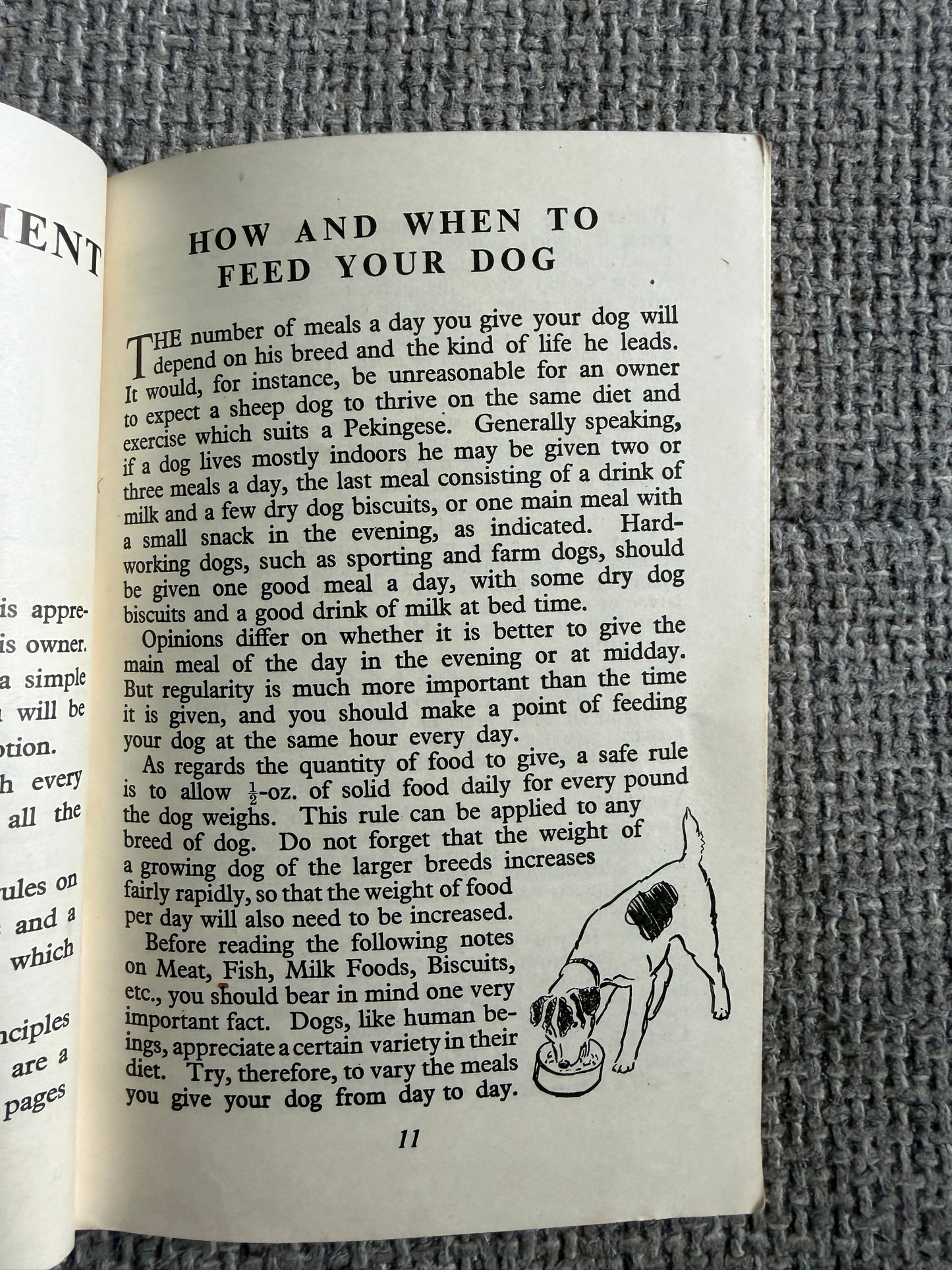 1950’s Bob Martin’s Dog Book 29th Edition(Bob Martin, Southport)