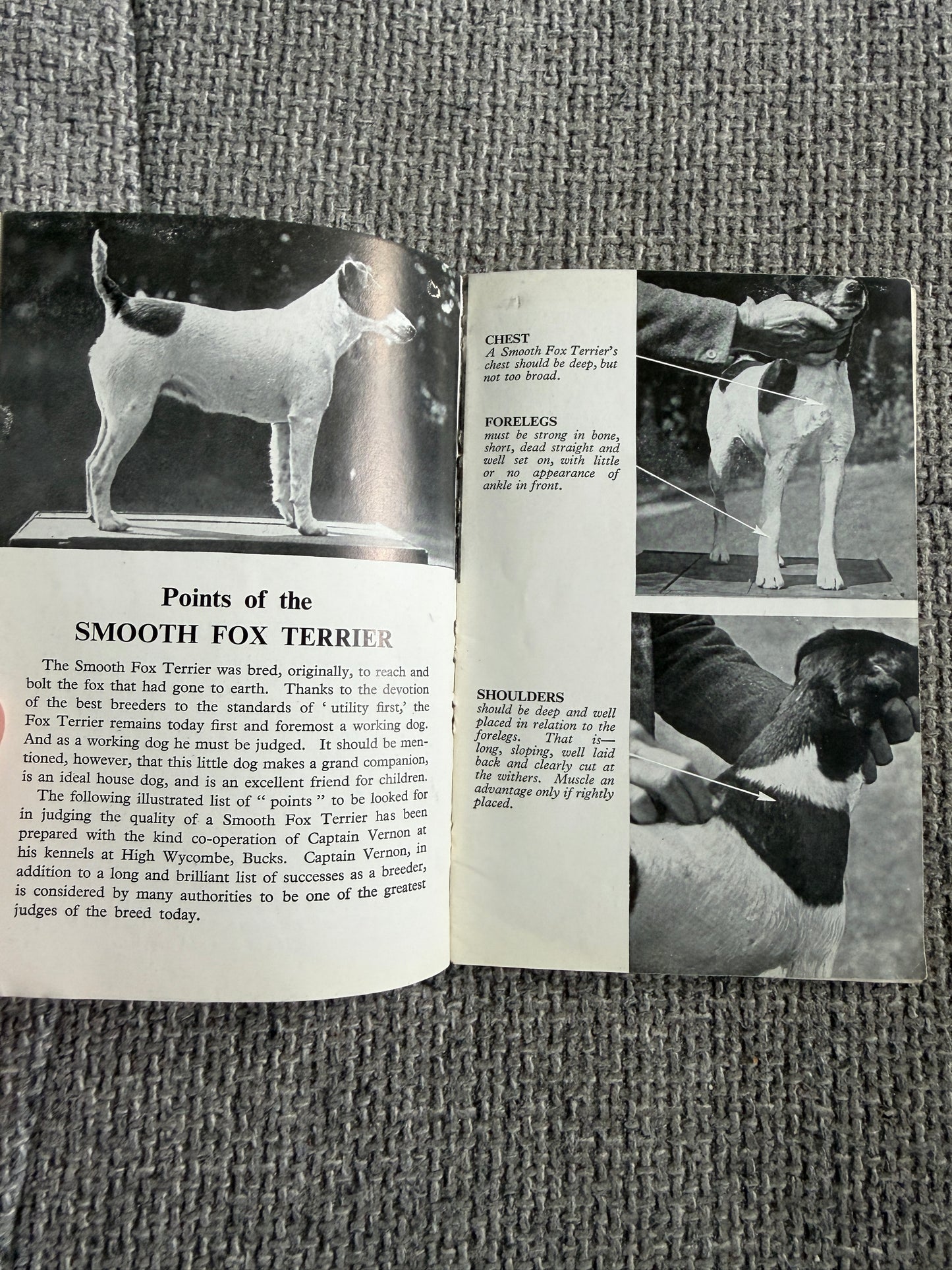 1950’s Bob Martin’s Dog Book 29th Edition(Bob Martin, Southport)