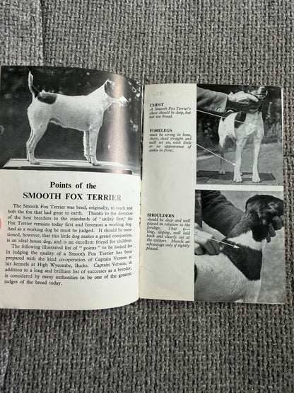 1950’s Bob Martin’s Dog Book 29th Edition(Bob Martin, Southport)