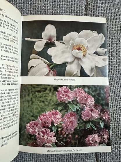 1962 Effective Flowering Shrubs - Michael Haworth-Booth(Collins)