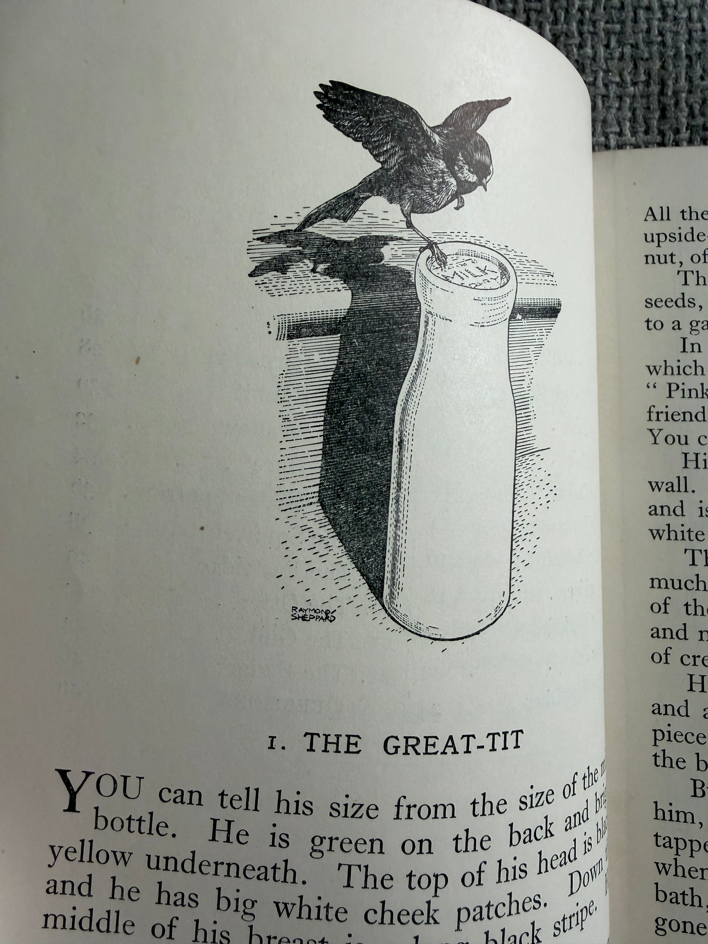 1950’s Birds & Beasts Teaching Unit 1c (Read & Remember Series) Raymond Shepherd illustrated) Thomas Nelson & Sons Ltd