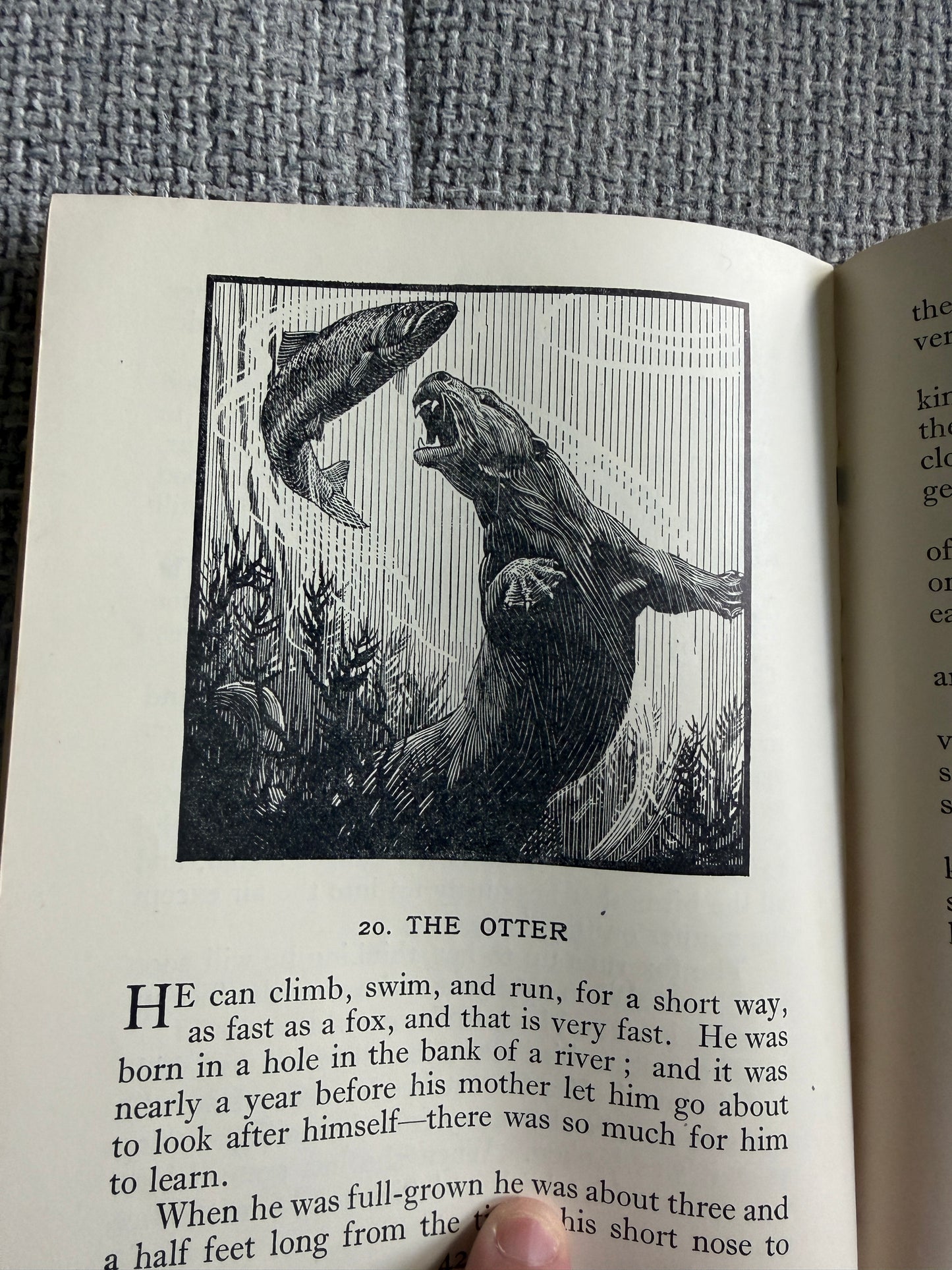 1950’s Birds & Beasts Teaching Unit 1c (Read & Remember Series) Raymond Shepherd illustrated) Thomas Nelson & Sons Ltd