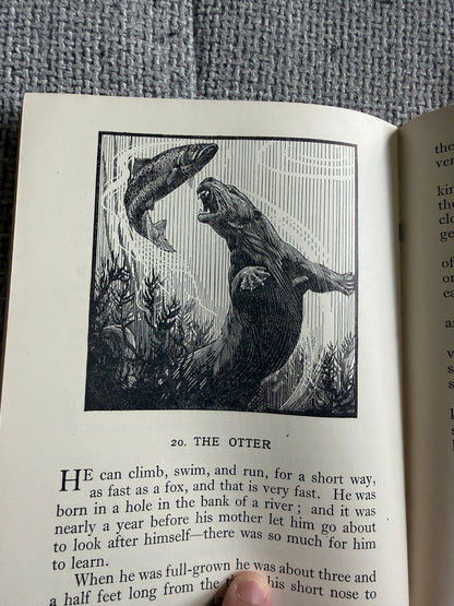 1950’s Birds & Beasts Teaching Unit 1c (Read & Remember Series) Raymond Shepherd illustrated) Thomas Nelson & Sons Ltd