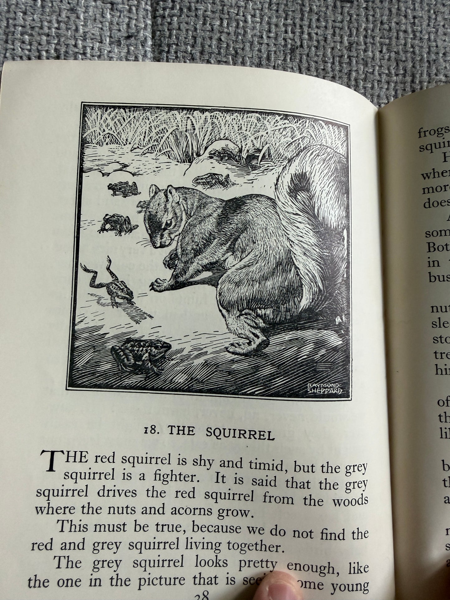 1950’s Birds & Beasts Teaching Unit 1c (Read & Remember Series) Raymond Shepherd illustrated) Thomas Nelson & Sons Ltd