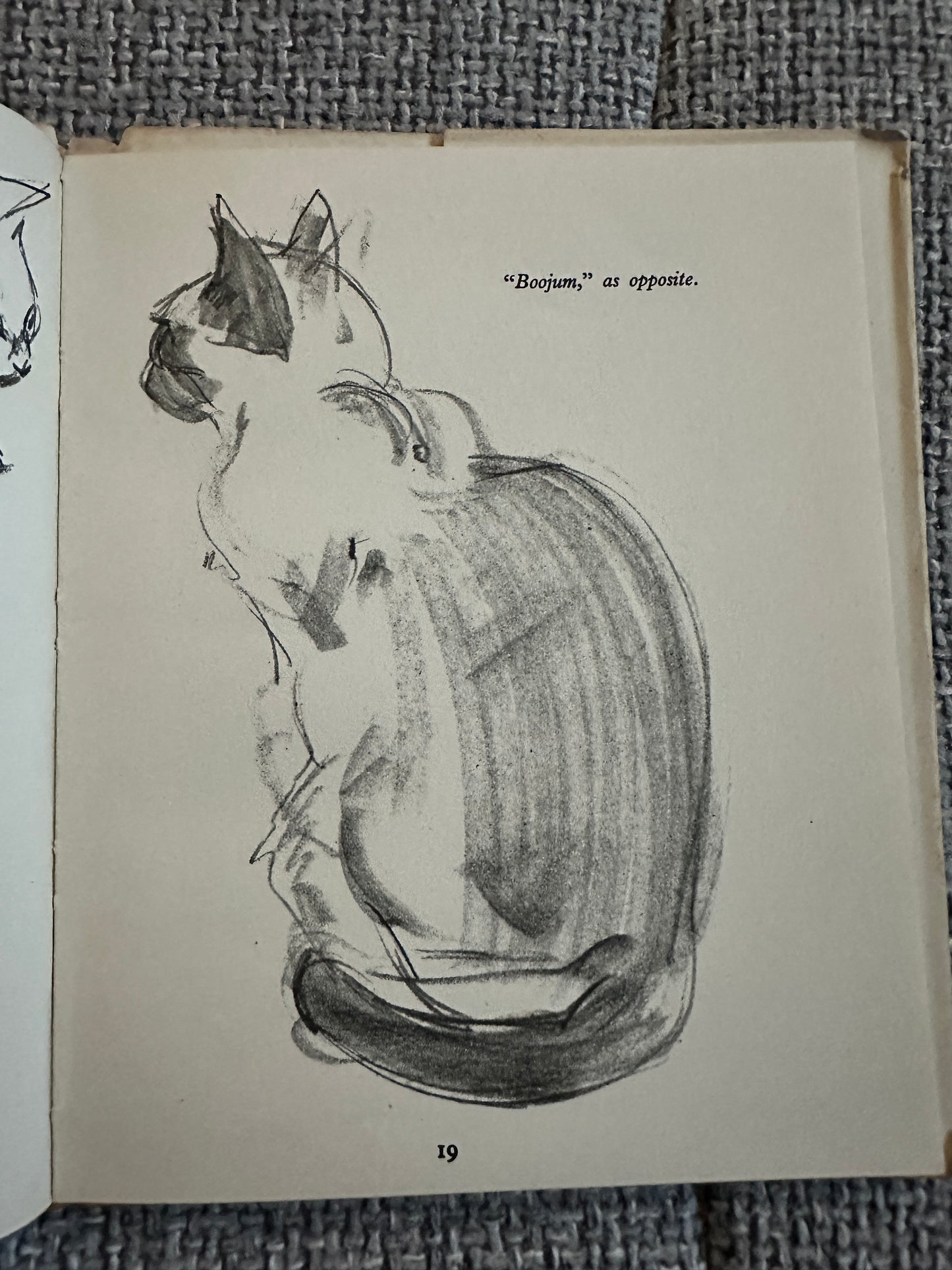 1940*1st* Drawing A Cat - Clare Turlay Newberry(intro Thomas Craven) The Studio