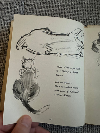 1940*1st* Drawing A Cat - Clare Turlay Newberry(intro Thomas Craven) The Studio