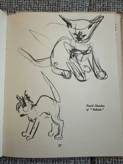 1940*1st* Drawing A Cat - Clare Turlay Newberry(intro Thomas Craven) The Studio