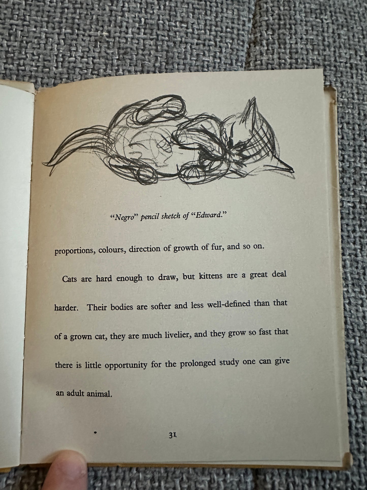 1940*1st* Drawing A Cat - Clare Turlay Newberry(intro Thomas Craven) The Studio