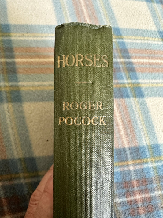 1917 Horses - Roger Pocock(John Murray)