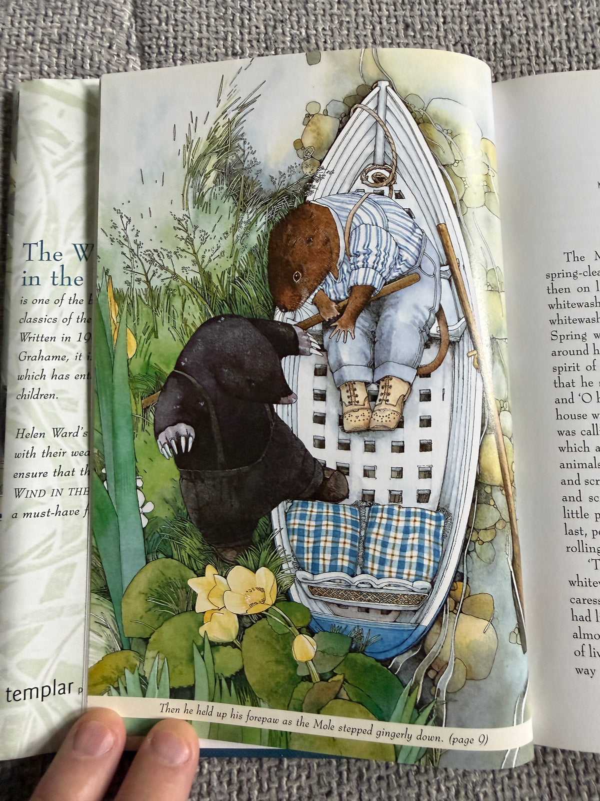 2000 The Wind In The Willows - Kenneth Grahame (Helen Ward Illustrated) Templar Classics