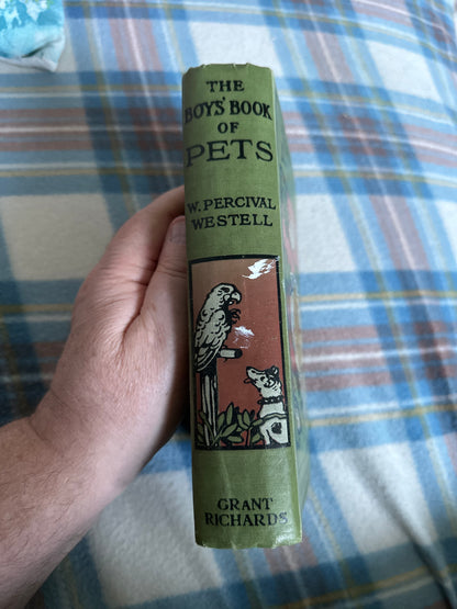 1914 The Boys Book Of Pets - W. Percival Westell (Grant Richards Publishers)